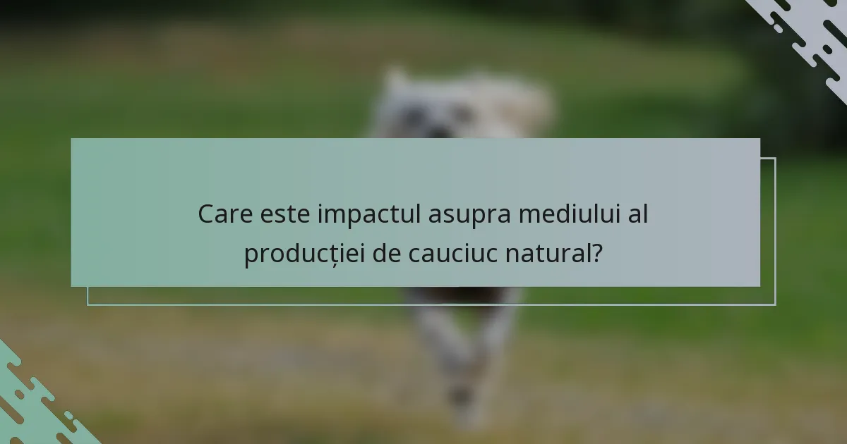 Care este impactul asupra mediului al producției de cauciuc natural?