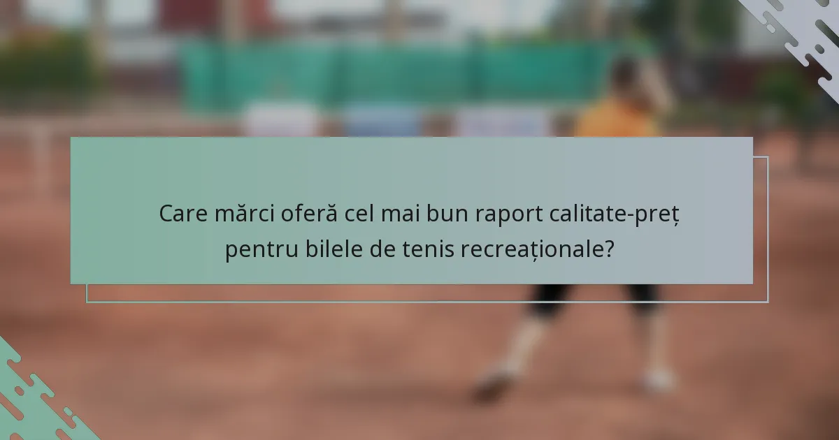 Care mărci oferă cel mai bun raport calitate-preț pentru bilele de tenis recreaționale?