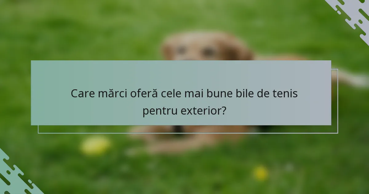 Care mărci oferă cele mai bune bile de tenis pentru exterior?