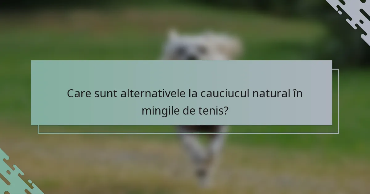 Care sunt alternativele la cauciucul natural în mingile de tenis?