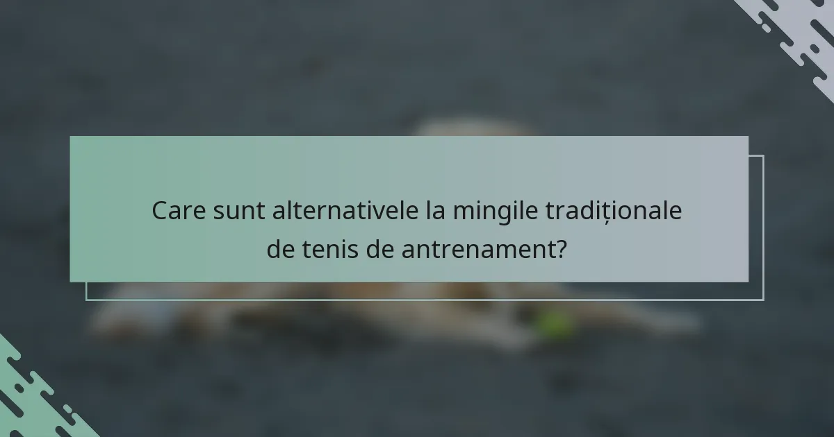 Care sunt alternativele la mingile tradiționale de tenis de antrenament?