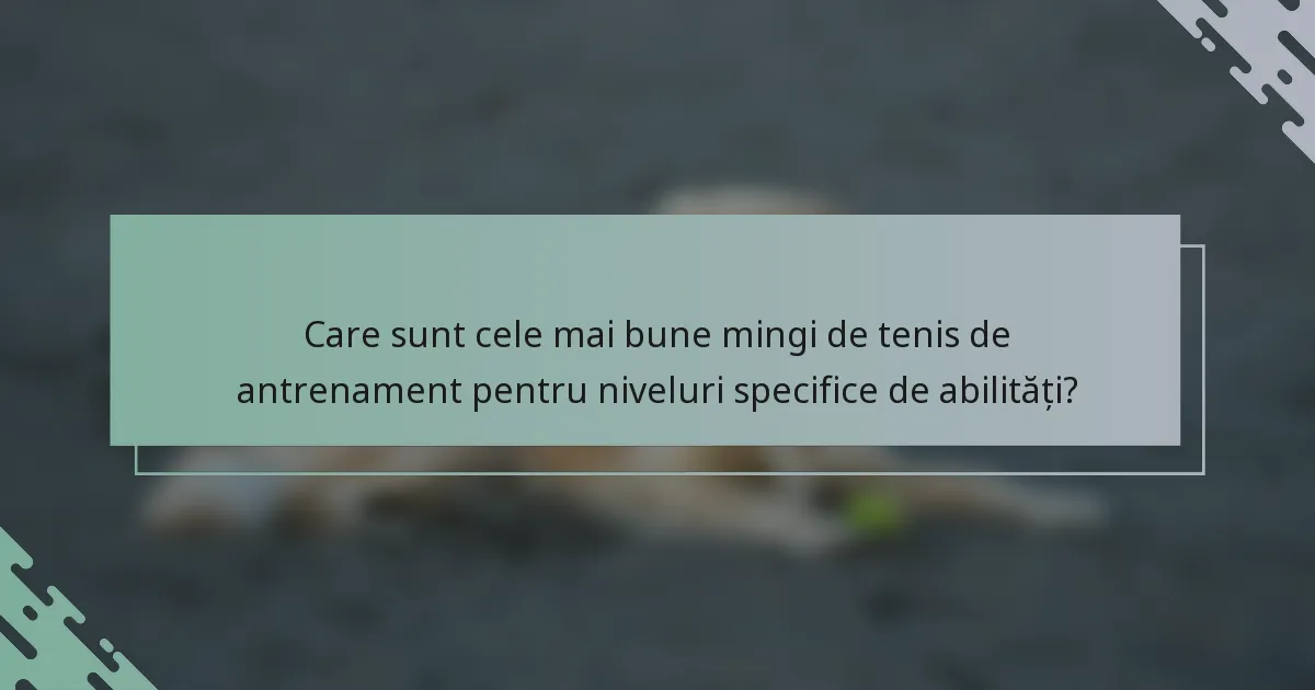 Care sunt cele mai bune mingi de tenis de antrenament pentru niveluri specifice de abilități?