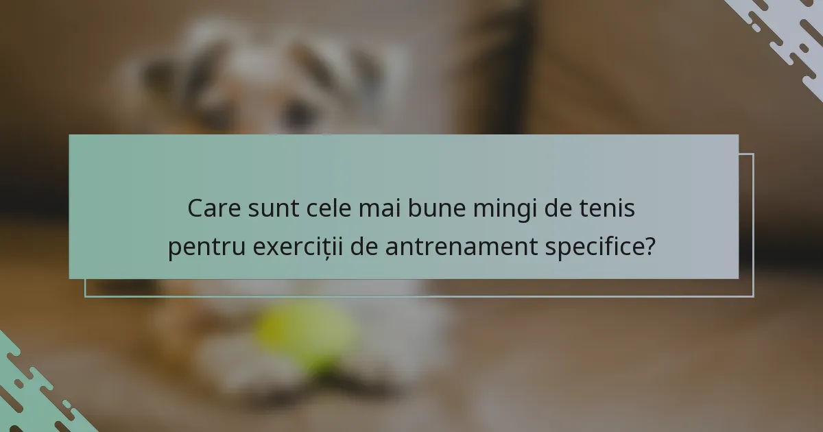 Care sunt cele mai bune mingi de tenis pentru exerciții de antrenament specifice?