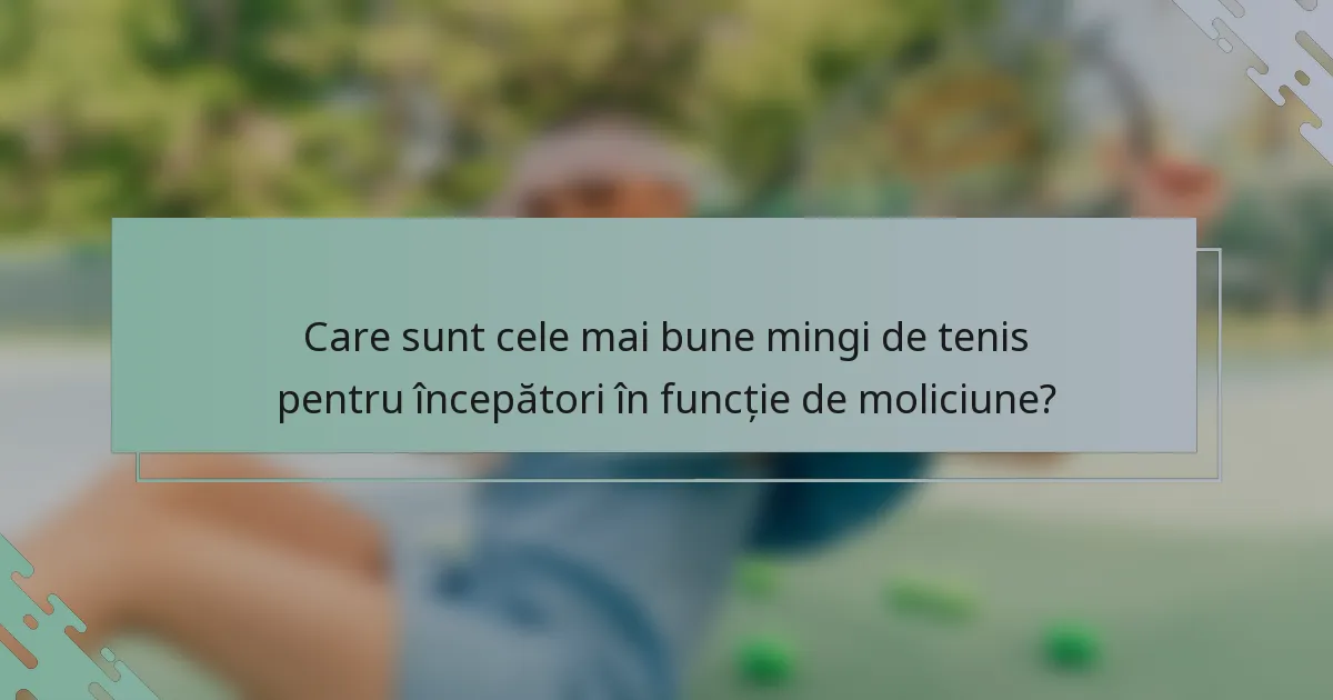 Care sunt cele mai bune mingi de tenis pentru începători în funcție de moliciune?