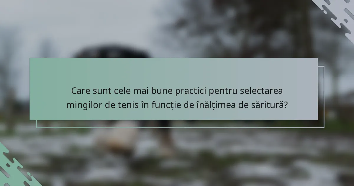 Care sunt cele mai bune practici pentru selectarea mingilor de tenis în funcție de înălțimea de săritură?
