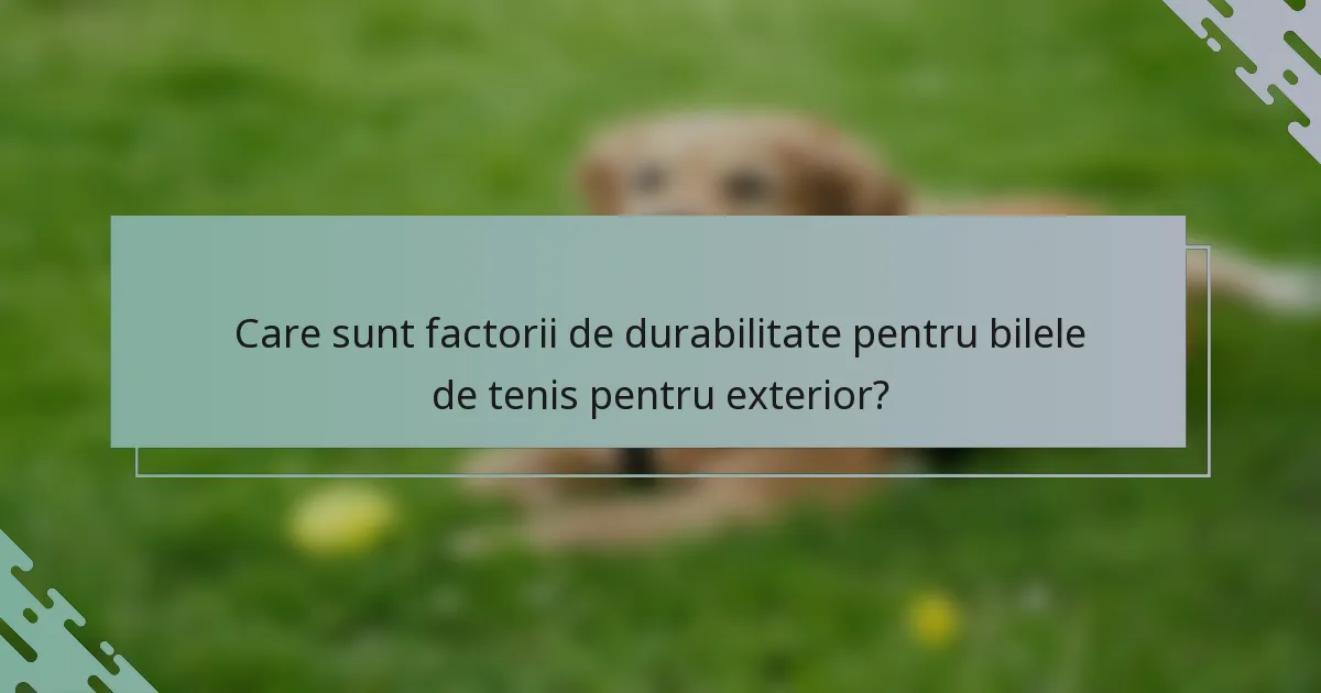 Care sunt factorii de durabilitate pentru bilele de tenis pentru exterior?
