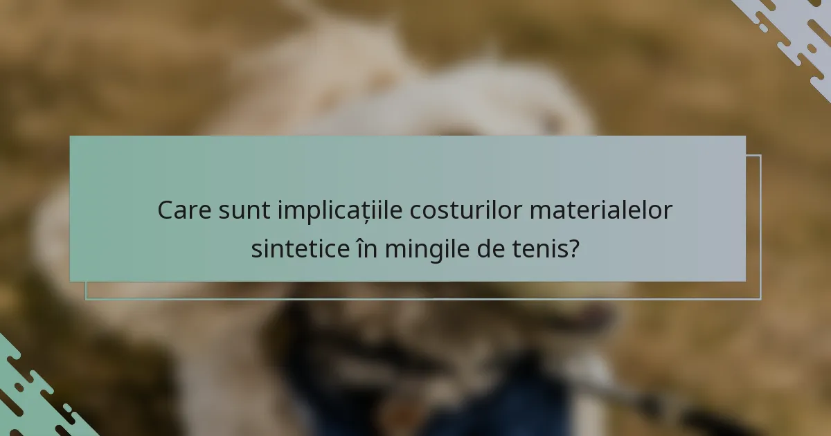 Care sunt implicațiile costurilor materialelor sintetice în mingile de tenis?