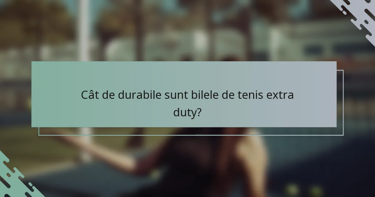 Cât de durabile sunt bilele de tenis extra duty?