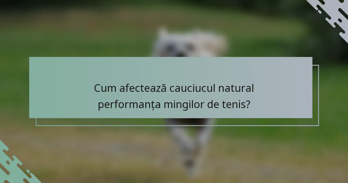 Cum afectează cauciucul natural performanța mingilor de tenis?