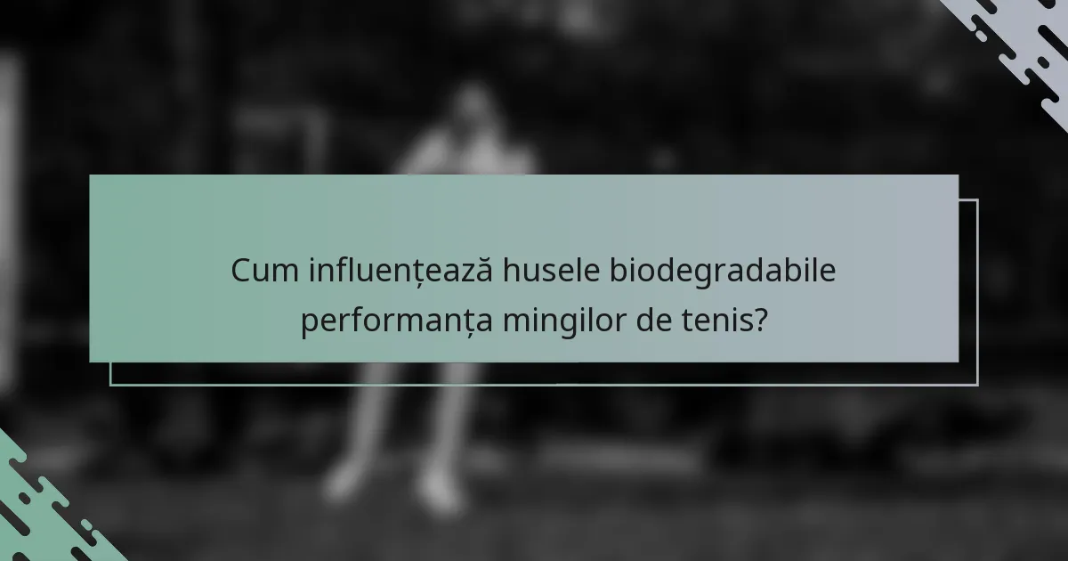 Cum influențează husele biodegradabile performanța mingilor de tenis?