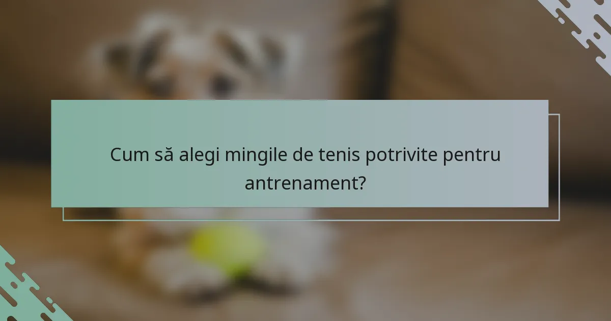 Cum să alegi mingile de tenis potrivite pentru antrenament?