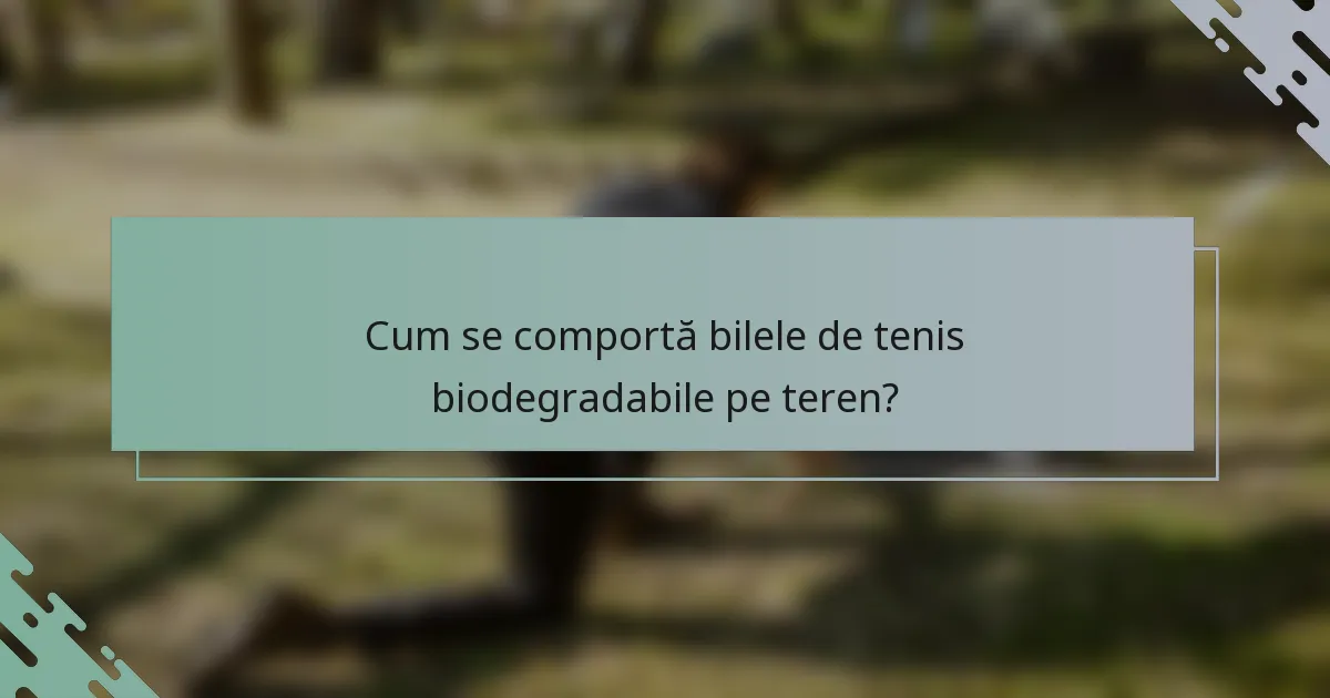 Cum se comportă bilele de tenis biodegradabile pe teren?