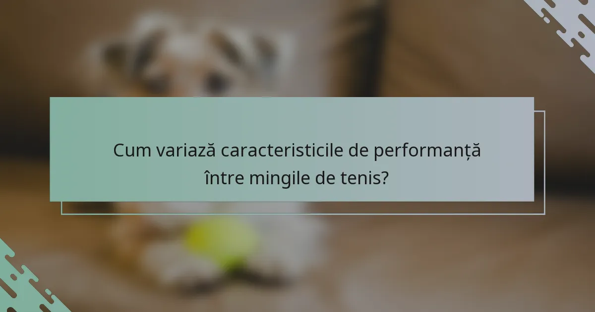 Cum variază caracteristicile de performanță între mingile de tenis?