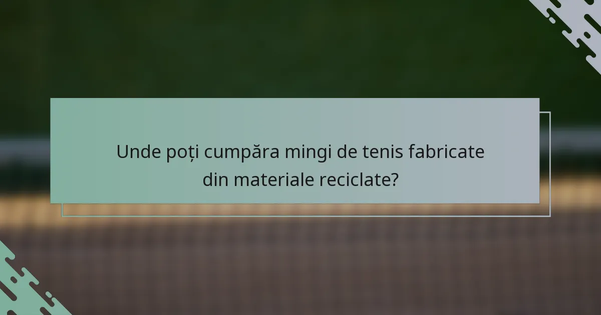 Unde poți cumpăra mingi de tenis fabricate din materiale reciclate?